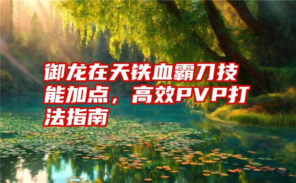 御龙在天铁血霸刀技能加点，高效PVP打法指南