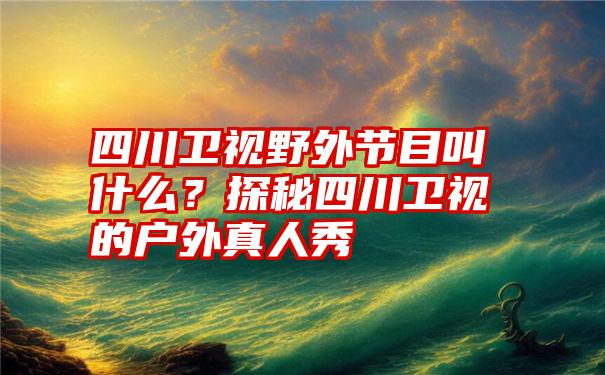 四川卫视野外节目叫什么？探秘四川卫视的户外真人秀