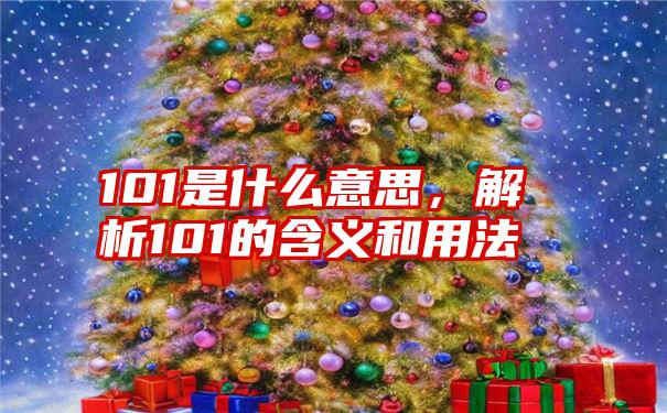 101是什么意思,解析101的含义和用法