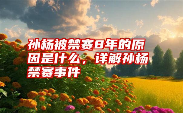 孙杨被禁赛8年的原因是什么,详解孙杨禁赛事件