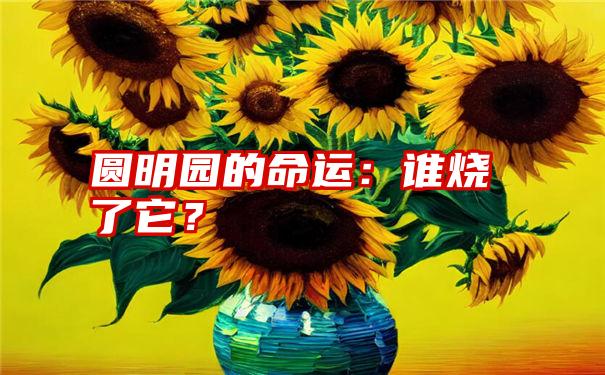 圆明园的命运：谁烧了它？