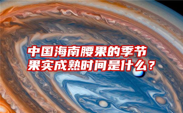 中国海南腰果的季节果实成熟时间是什么？