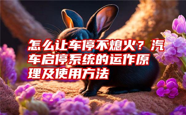 怎么让车停不熄火？汽车启停系统的运作原理及使用方法