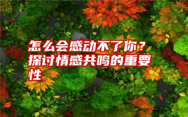 怎么会感动不了你？探讨情感共鸣的重要性