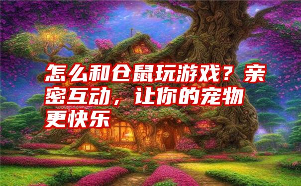 怎么和仓鼠玩游戏？亲密互动，让你的宠物更快乐