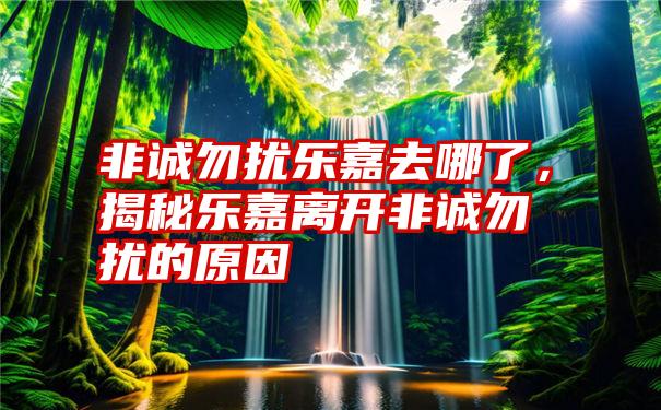 非诚勿扰乐嘉去哪了，揭秘乐嘉离开非诚勿扰的原因