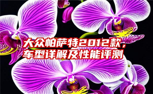 大众帕萨特2012款，车型详解及性能评测