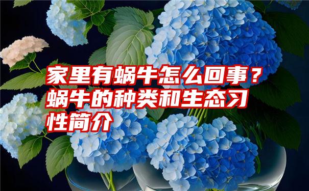 家里有蜗牛怎么回事？蜗牛的种类和生态习性简介