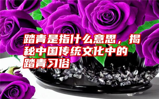 踏青是指什么意思，揭秘中国传统文化中的踏青习俗