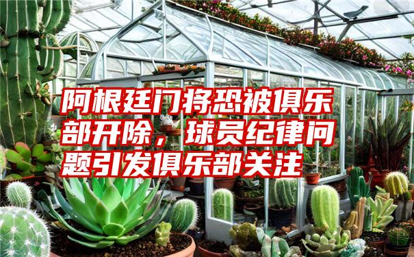 阿根廷门将恐被俱乐部开除，球员纪律问题引发俱乐部关注