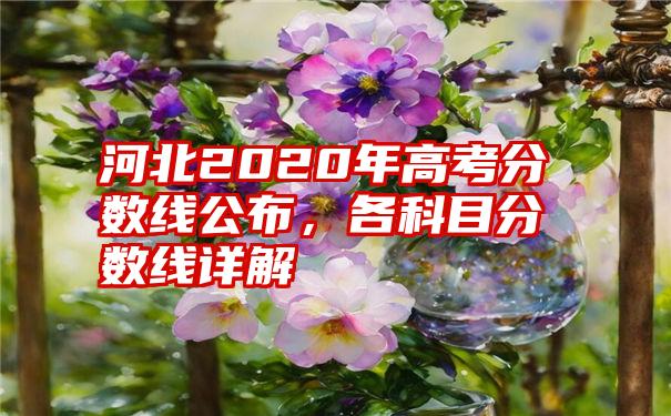 河北2020年高考分数线公布，各科目分数线详解