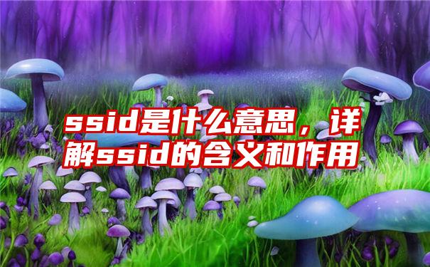 ssid是什么意思，详解ssid的含义和作用