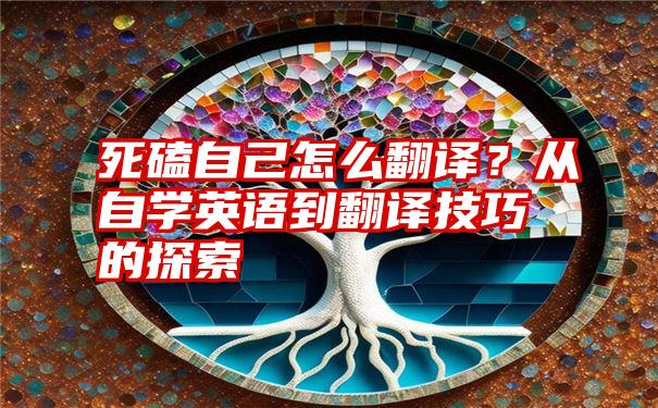 死磕自己怎么翻译？从自学英语到翻译技巧的探索