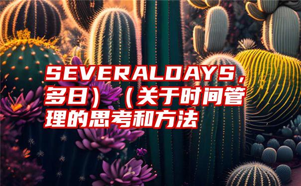 SEVERALDAYS，多日）（关于时间管理的思考和方法