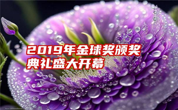 2019年金球奖颁奖典礼盛大开幕