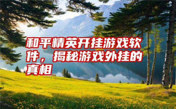 和平精英开挂游戏软件，揭秘游戏外挂的真相