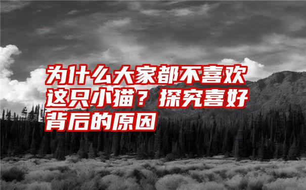 为什么大家都不喜欢这只小猫？探究喜好背后的原因