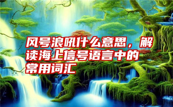 风号浪吼什么意思，解读海上信号语言中的常用词汇