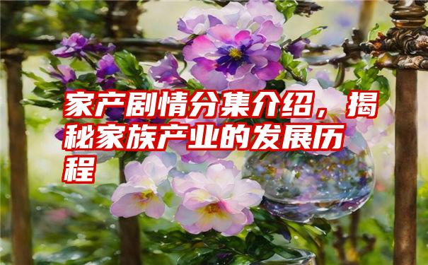 家产剧情分集介绍，揭秘家族产业的发展历程