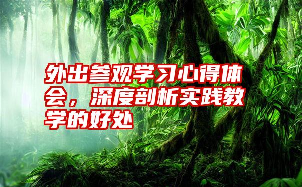 外出参观学习心得体会，深度剖析实践教学的好处