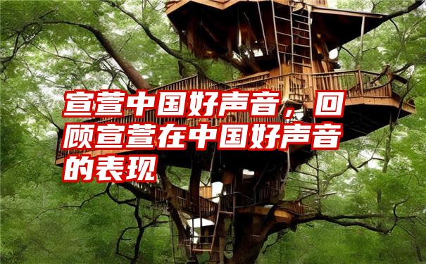 宣萱中国好声音,回顾宣萱在中国好声音的表现