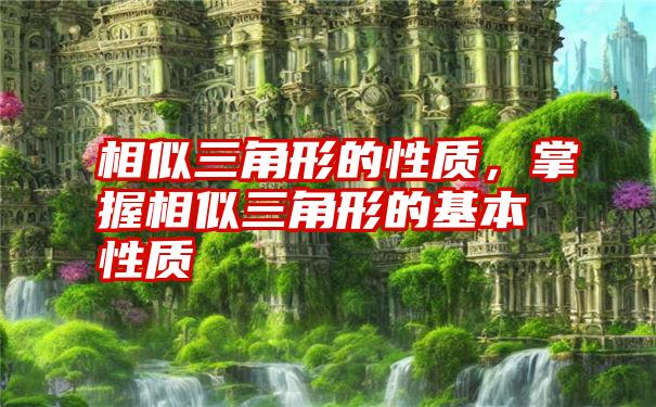 相似三角形的性质，掌握相似三角形的基本性质