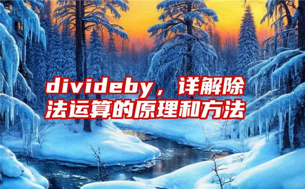 divideby，详解除法运算的原理和方法