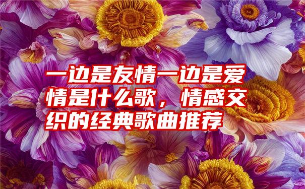 一边是友情一边是爱情是什么歌,情感交织的经典歌曲推荐
