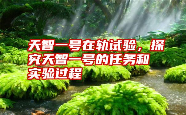 天智一号在轨试验，探究天智一号的任务和实验过程