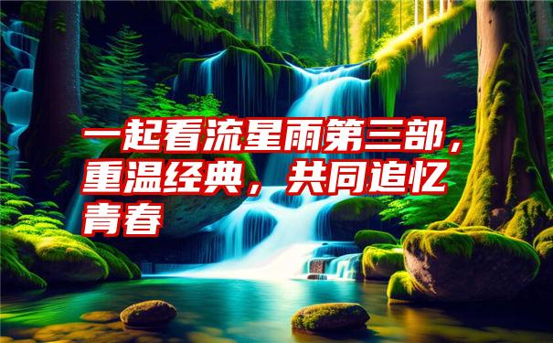 一起看流星雨第三部，重温经典，共同追忆青春