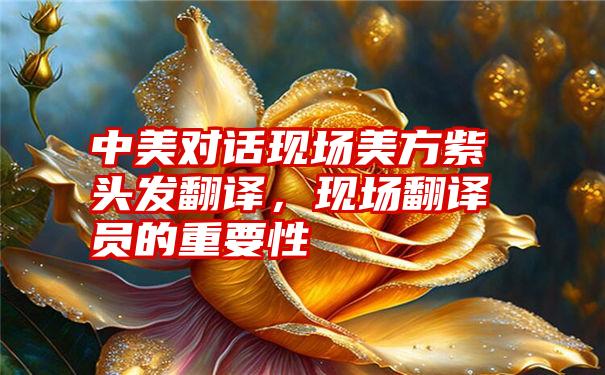 中美对话现场美方紫头发翻译,现场翻译员的重要性