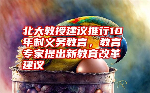 北大教授建议推行10年制义务教育，教育专家提出新教育改革建议