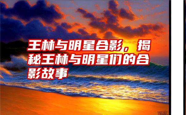 王林与明星合影，揭秘王林与明星们的合影故事