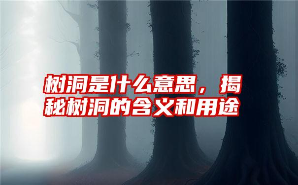 树洞是什么意思，揭秘树洞的含义和用途