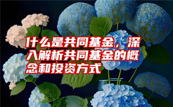 什么是共同基金，深入解析共同基金的概念和投资方式