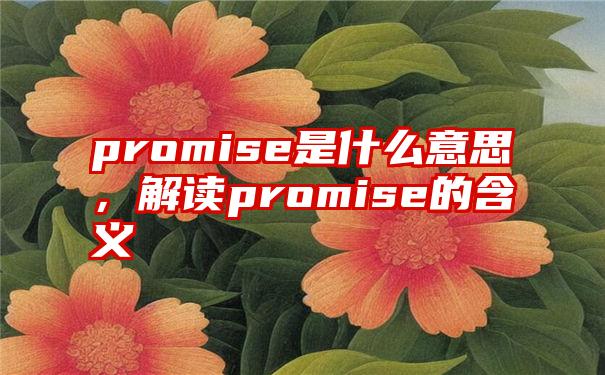 promise是什么意思，解读promise的含义