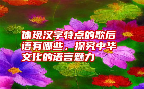 体现汉字特点的歇后语有哪些，探究中华文化的语言魅力