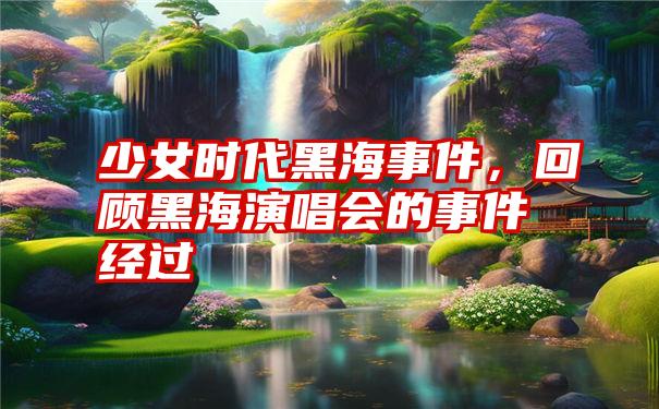 少女时代黑海事件,回顾黑海演唱会的事件经过