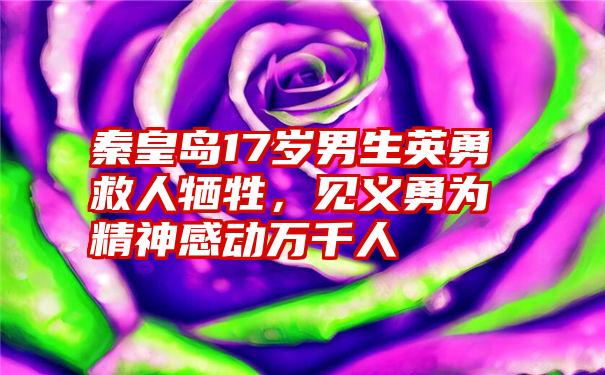 秦皇岛17岁男生英勇救人牺牲,见义勇为精神感动万千人