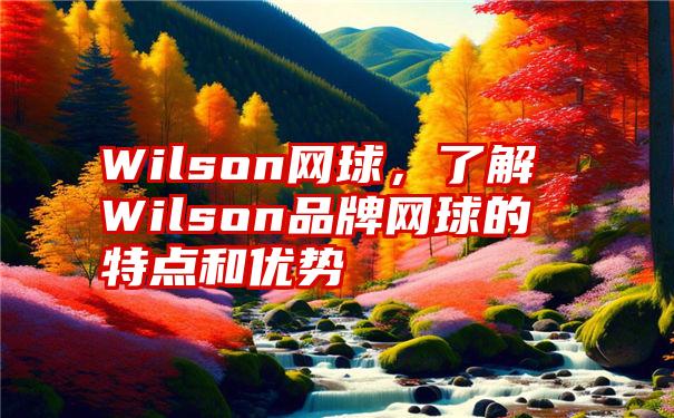 Wilson网球，了解Wilson品牌网球的特点和优势