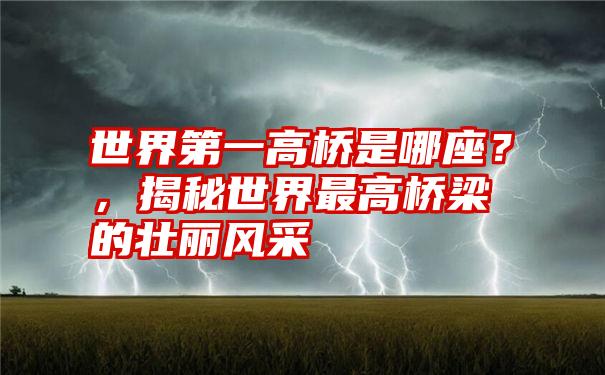 世界第一高桥是哪座？，揭秘世界最高桥梁的壮丽风采