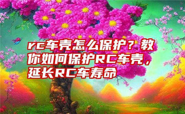 rc车壳怎么保护？教你如何保护RC车壳，延长RC车寿命