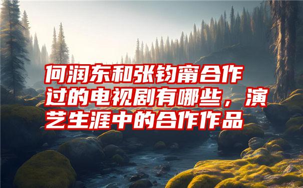 何润东和张钧甯合作过的电视剧有哪些，演艺生涯中的合作作品