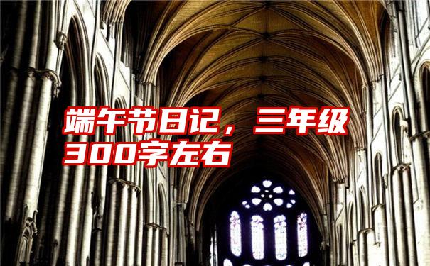 端午节日记，三年级300字左右