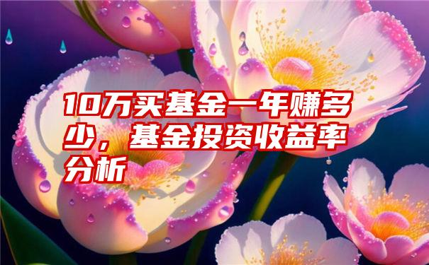 10万买基金一年赚多少，基金投资收益率分析