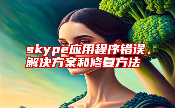 skype应用程序错误，解决方案和修复方法