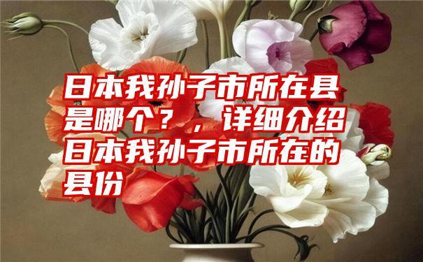 日本我孙子市所在县是哪个?,详细介绍日本我孙子市所在的县份