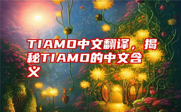 TIAMO中文翻译，揭秘TIAMO的中文含义