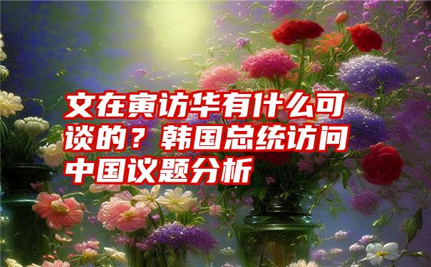 文在寅访华有什么可谈的？韩国总统访问中国议题分析