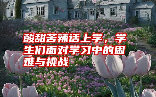 酸甜苦辣话上学，学生们面对学习中的困难与挑战